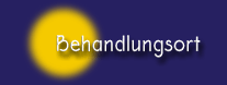 Behandlungsort